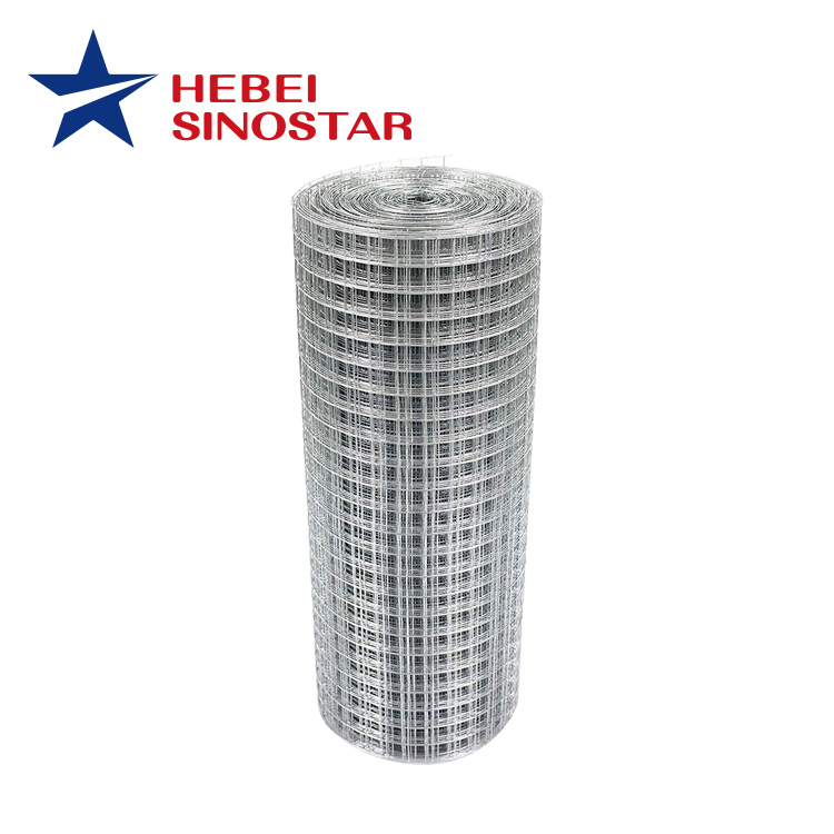 Galvanized Welded Wire Mesh