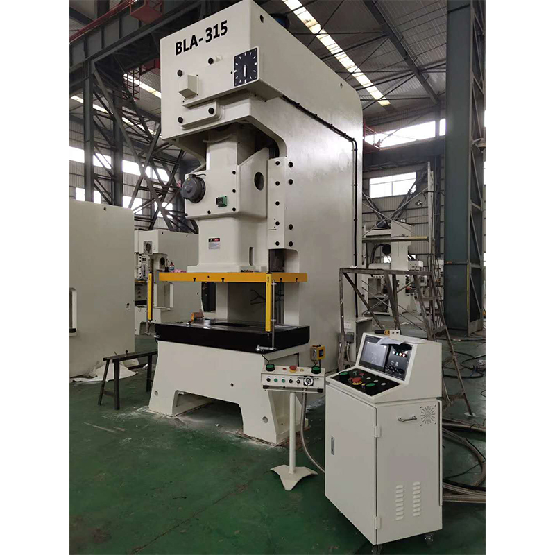 BLM Series Close type double point precision press machine