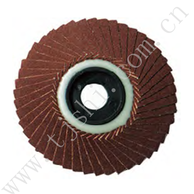 Flap disc