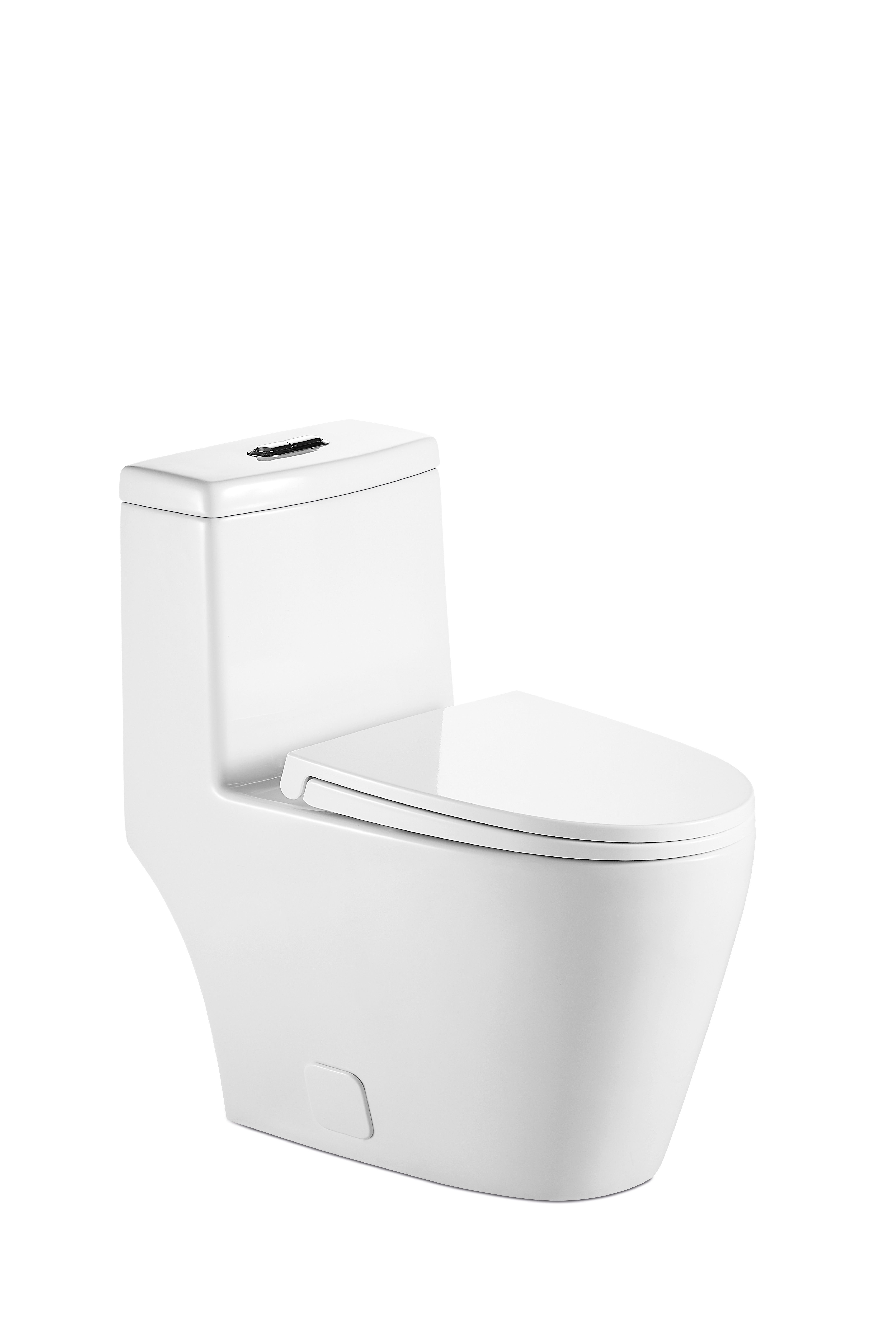 Project cupc toilet express pack online sales