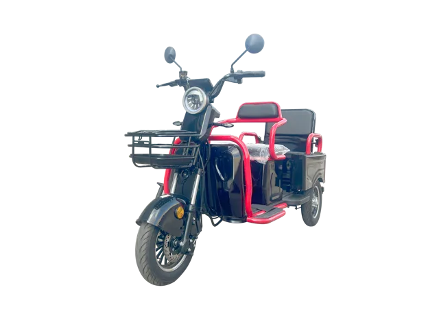 1200W electric three-wheeler with two seats, a cargo-capable rear seat that can be switched to a cargo compartment, EEC