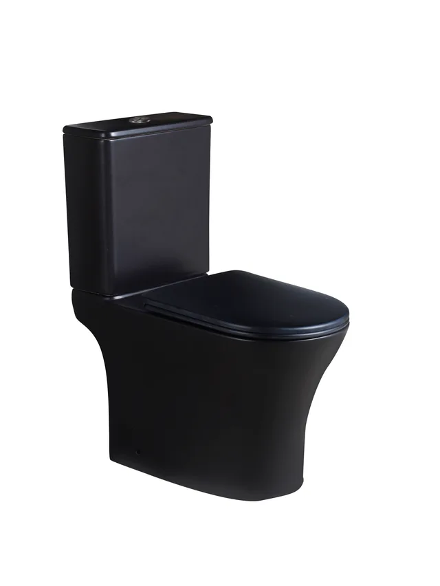 Matte black two piece toilet