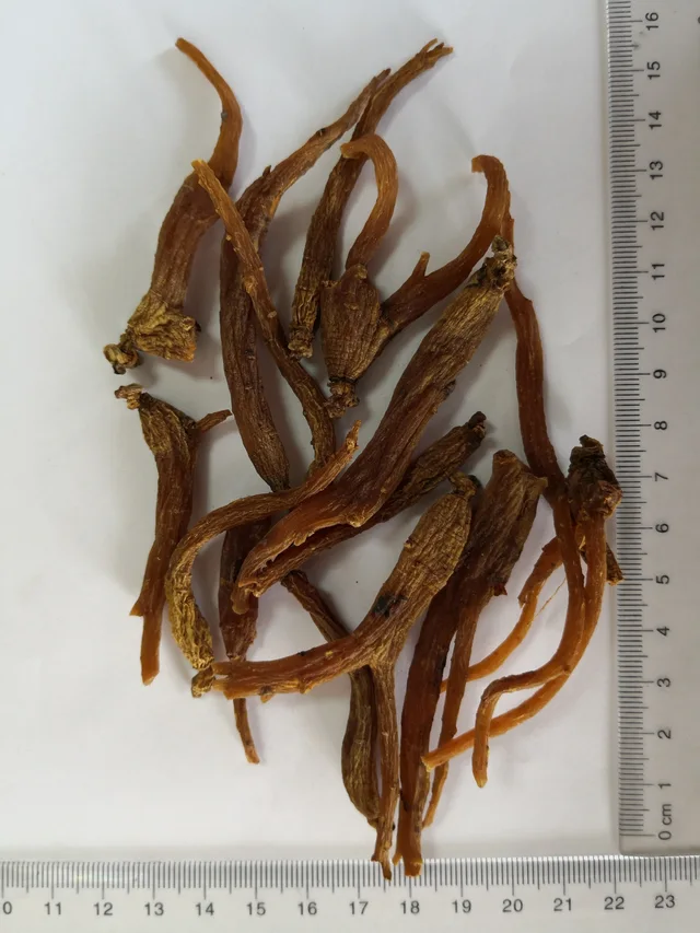Red Ginseng