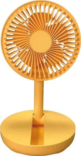 Rechargeable fan