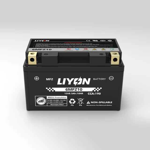 Large displacement high performance new product 6MFZ10