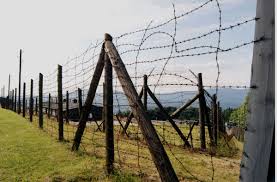 Galvanized barbed wire fence