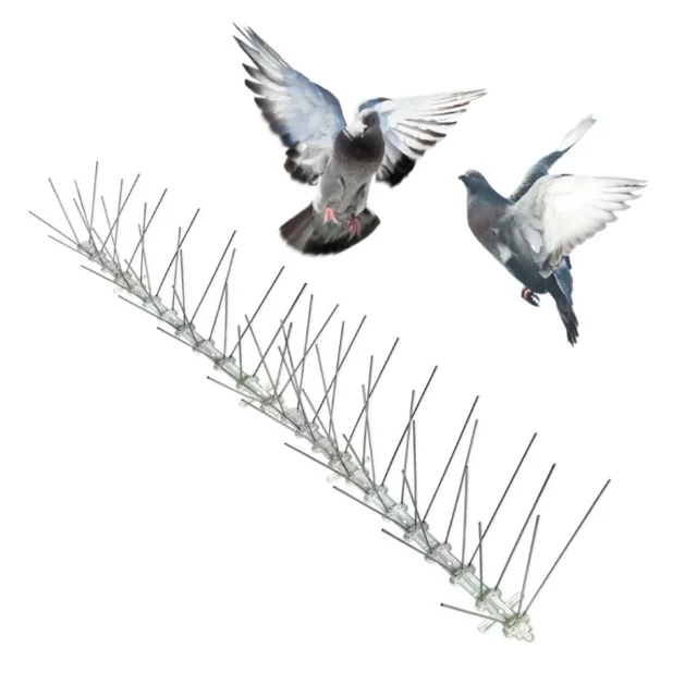 Bird Spikes