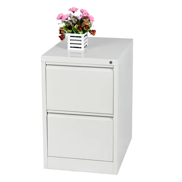 2 drawer filing cabinet