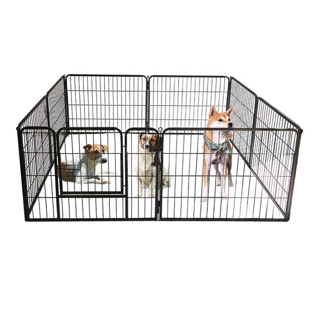 Dog fence