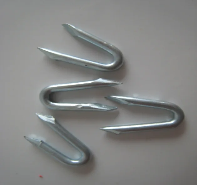 U type staple