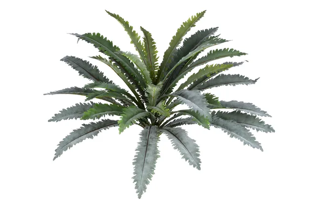 5 stem green leaves bush x33