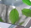 Mirror Aluminum Composite Panel