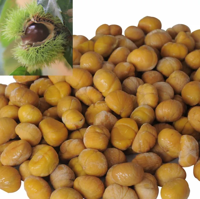 Frozen chestnut kernel