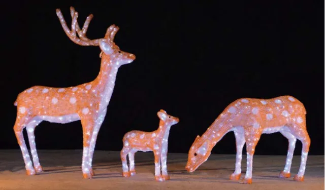 Christmas Motif Light