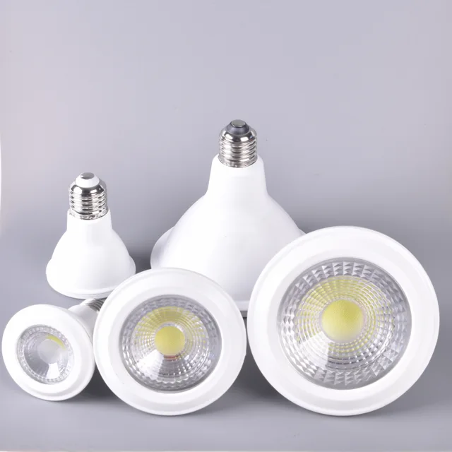 LED Par Light