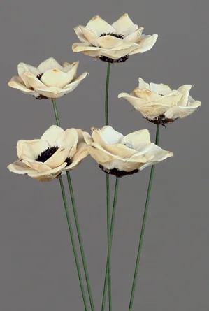 Pine Cone Flower(dry flower;dried flower)