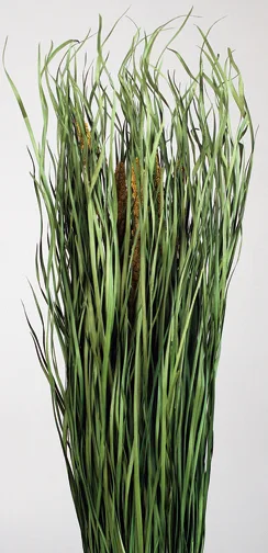 Malian Grass(Preserved)(dry flower;dried flower)