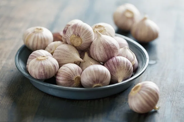 Fresh Solo Garlic