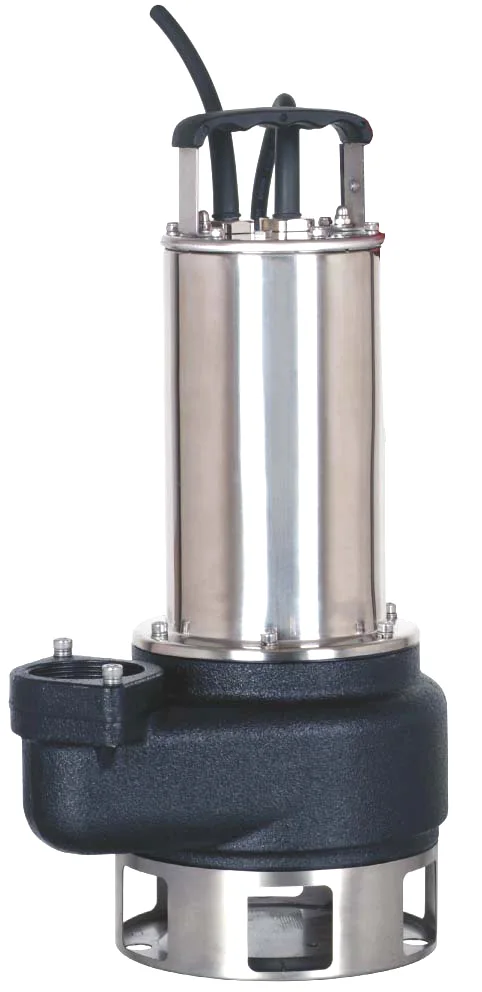 Ss Heavy Duty Pump With Cast Iron Housing