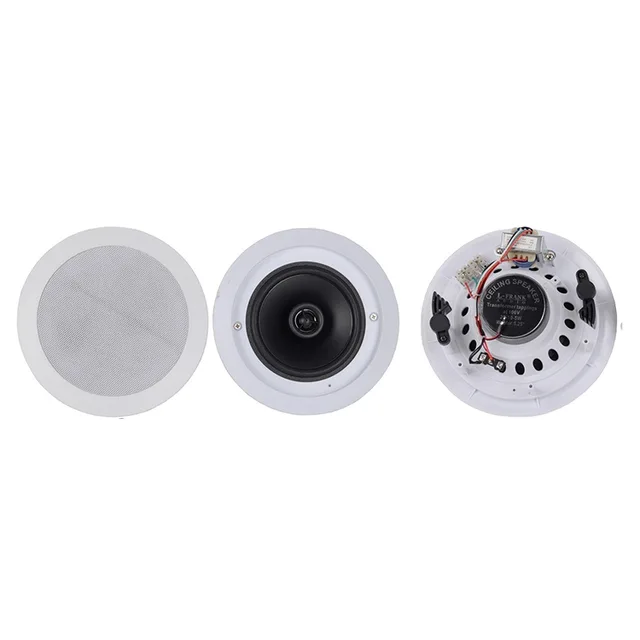 Community outdoor ceiling speaker