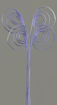 Cane Coil(dry flower;dried flower)