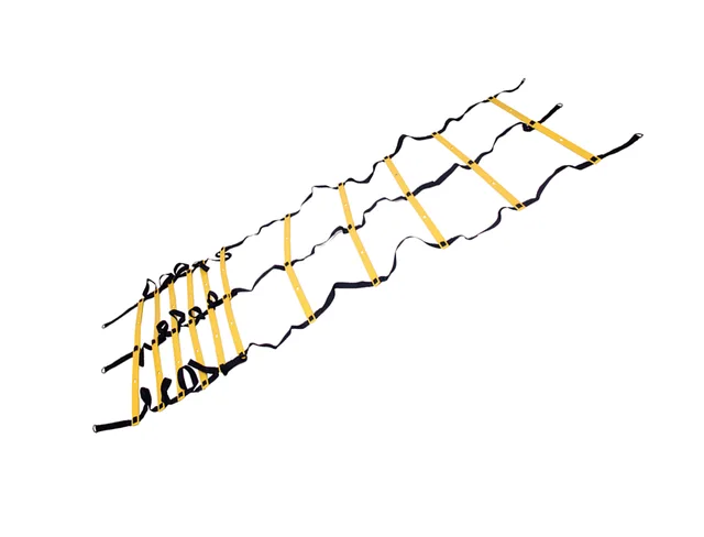 Agility ladder