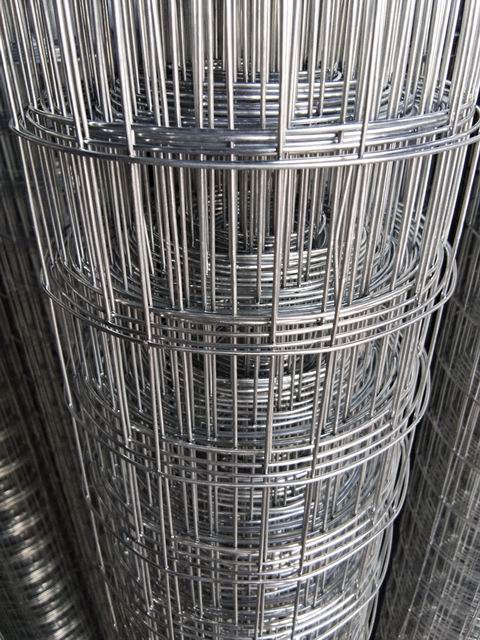 Electro galvanized hot dip galvanized welded wire mesh