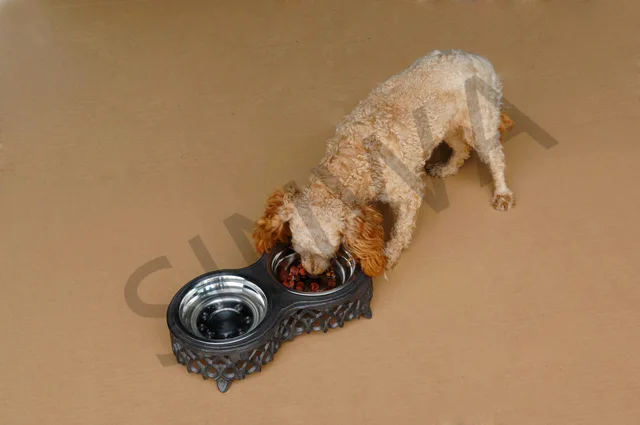 Pet feeder