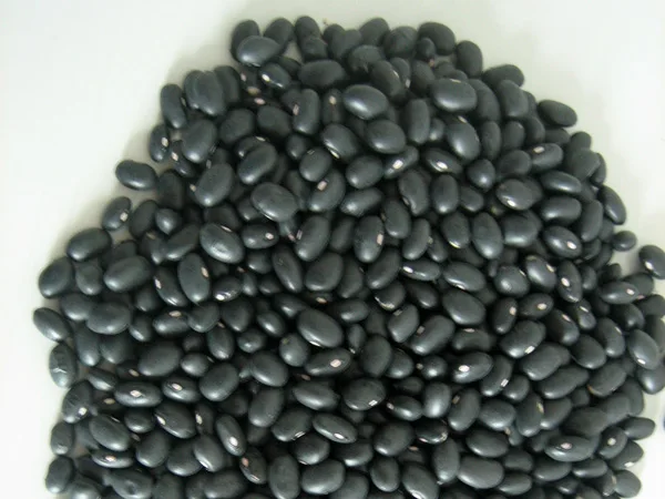 Black Kidney Beans