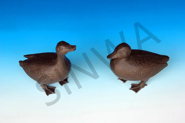 Duck
