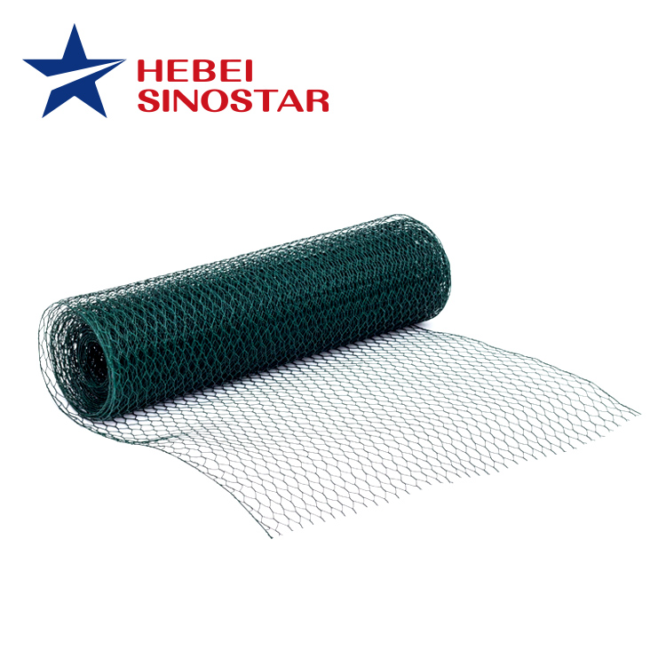 Hot Dipped Galvanized Chicken Mesh