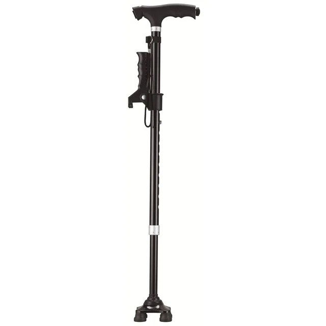 Extendable Cane With Flashlight And Double Handle