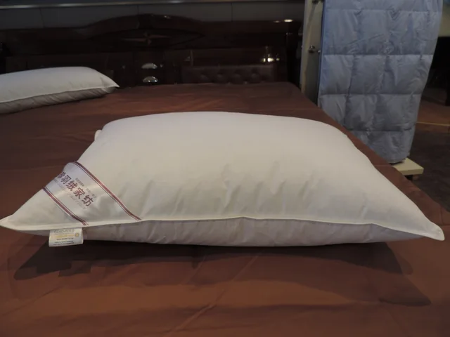 Down Pillow