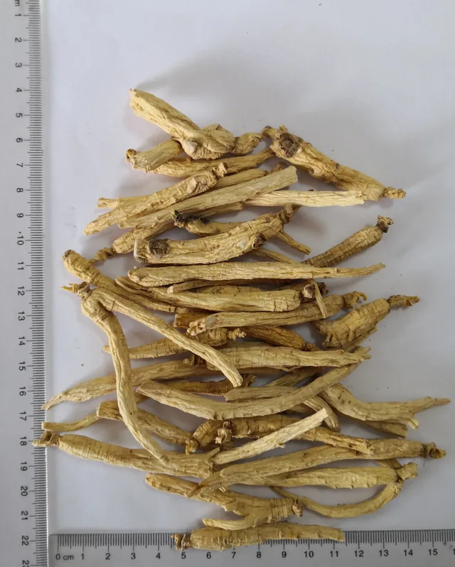 Ginseng