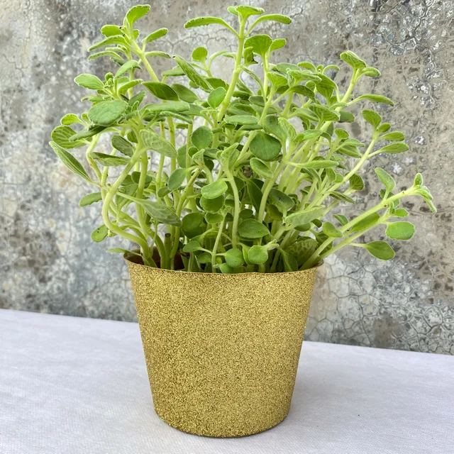 Glitter surface plastic cover pot