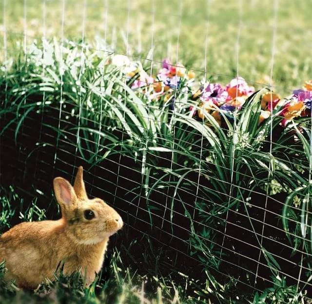 PVC coated dog fence, welded wire mesh rabbit fence