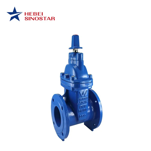 Flanged Gate Valve