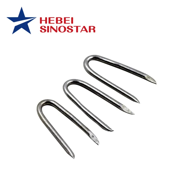 Electro Galvanized U Staple Nails （Clavo）