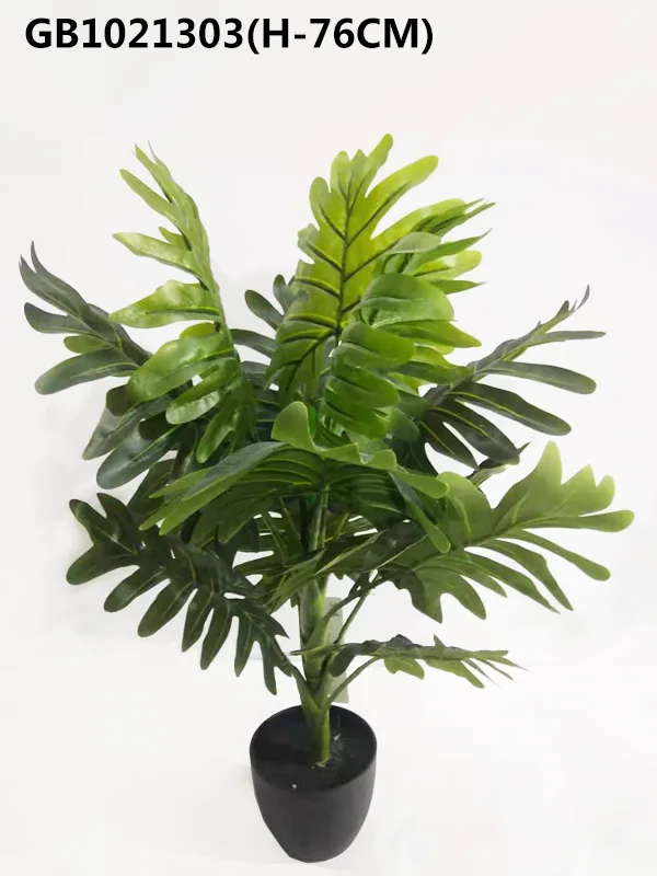 Plant in black plastic pot(H-76cm)