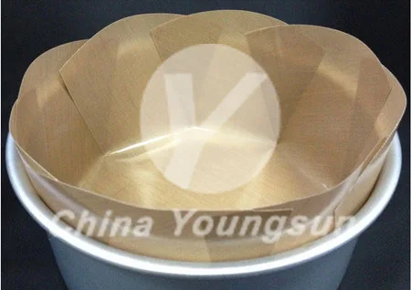 Non-stick Cake liner reusable lift out liner