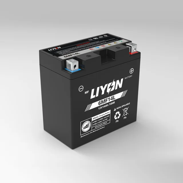 Large displacement high performance new product 6MF14L