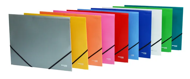 Action case