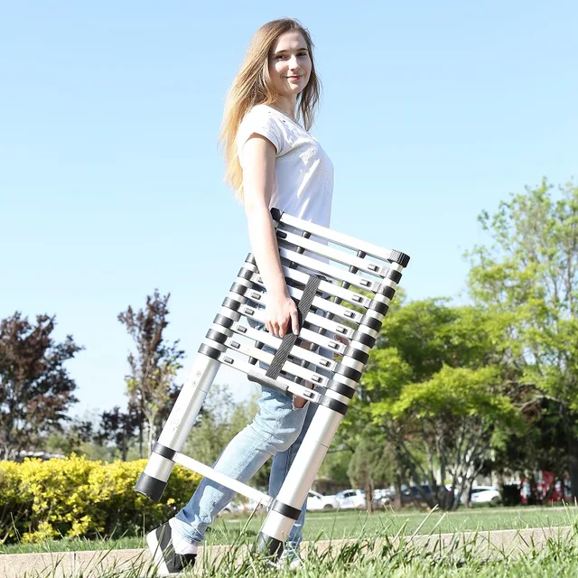 Aluminium ladder