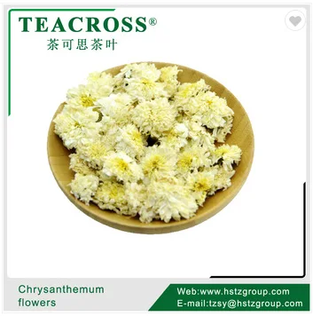 White Organic Chrysanthemum flower tea