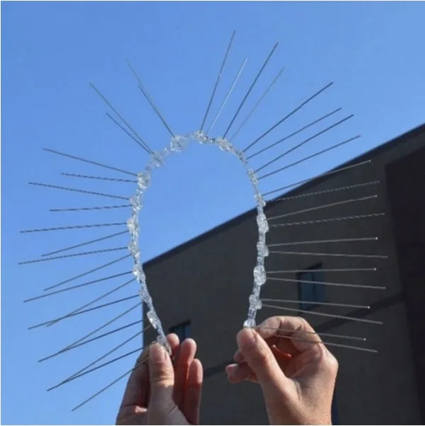 Bird Spikes