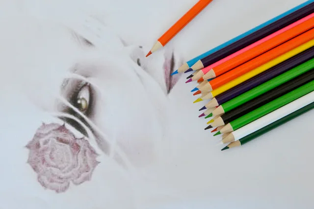 Color pencil