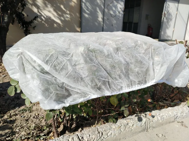 Nonwoven winter plant protector PP nonwoven frost protection bag with elastic