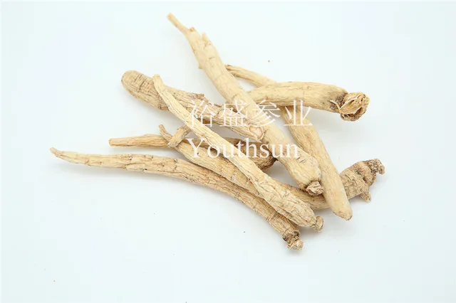 American Ginseng Small Roots