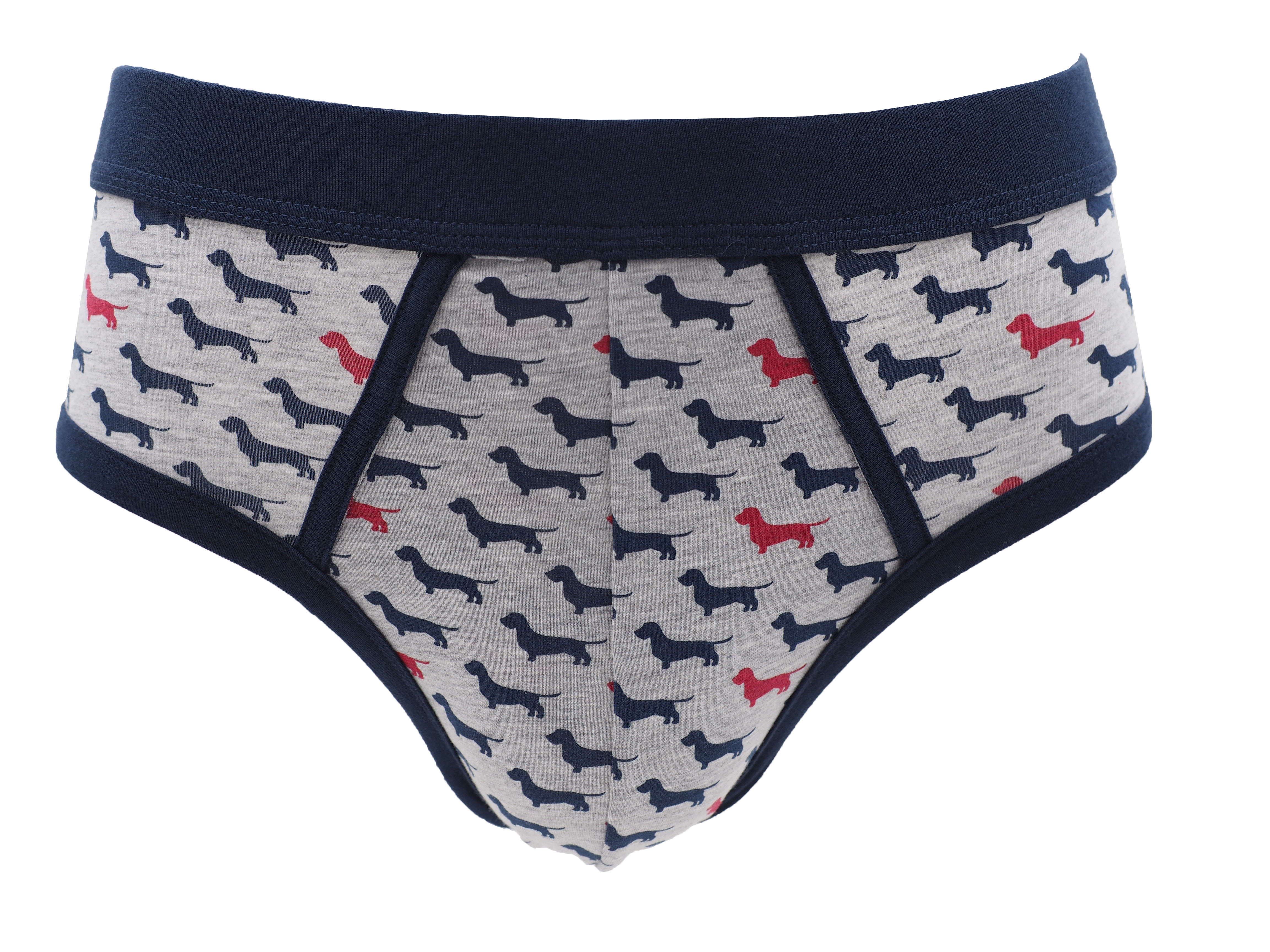 Men's briefs
