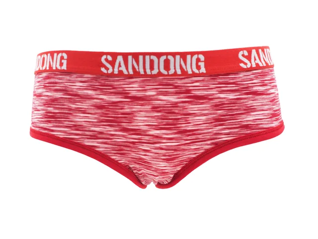 Ladies briefs